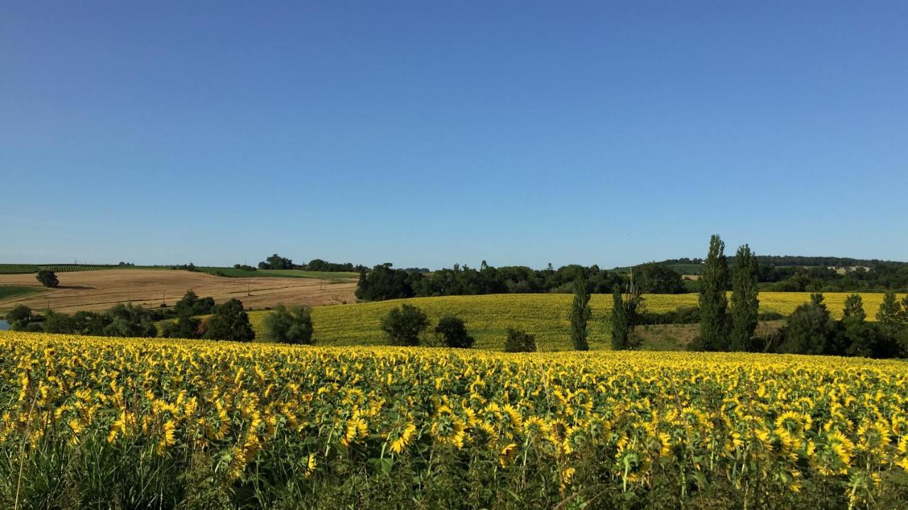 " Venez Dormir Chez Nous " #Condom#Gascogne#D'Artagnan#Armagnac#Le Bonheur Est Dans Le Gers Exteriér fotografie
