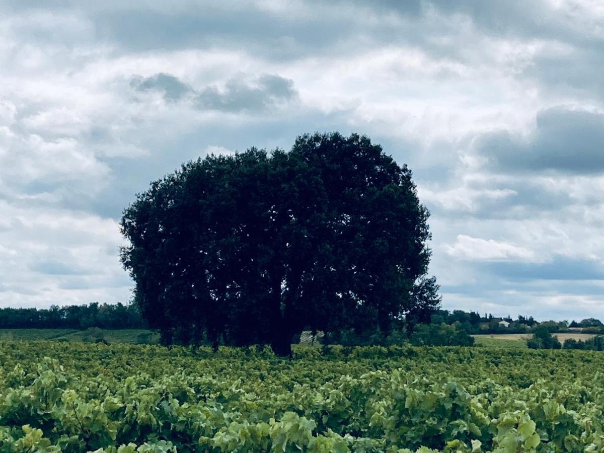 " Venez Dormir Chez Nous " #Condom#Gascogne#D'Artagnan#Armagnac#Le Bonheur Est Dans Le Gers Exteriér fotografie